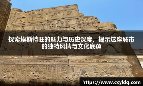 星空·综合体育官方网站