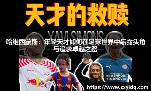 星空·综合体育官方网站