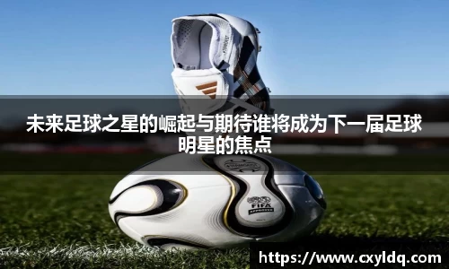 星空·综合体育