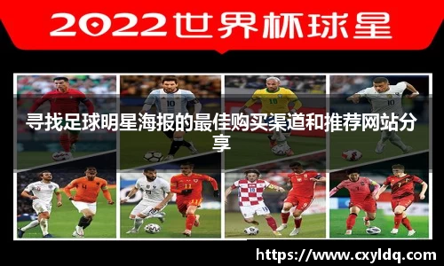 星空·综合体育官方网站