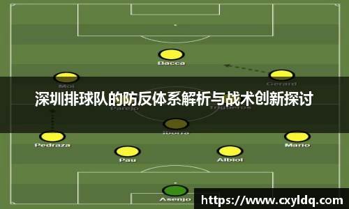 深圳排球队的防反体系解析与战术创新探讨