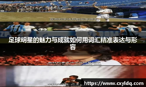 星空·综合体育官方网站